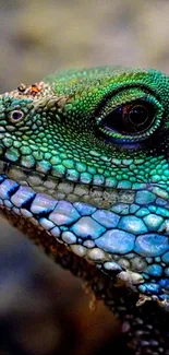 Close-up of a vibrant green reptile with intricate scales.