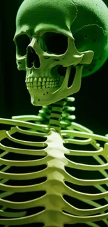 Green skeleton with eerie, vibrant design against a dark background.