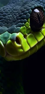 Close-up of a green snake with vibrant scales and captivating eyes.