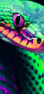 Close-up of a vibrant green snake with purple and pink accents.