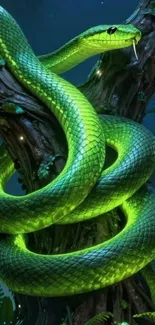 Vibrant green snake coiled on tree, exotic wallpaper