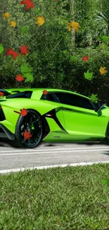 Green sports car with vibrant leaves in a lush setting.