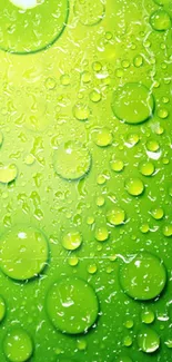 Vibrant green wallpaper with water droplets.