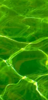Vibrant green water ripples with bright reflections.