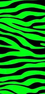 Bright green zebra pattern wallpaper.