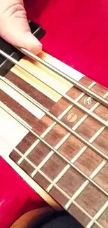 Close-up of guitar strings on a red backdrop.