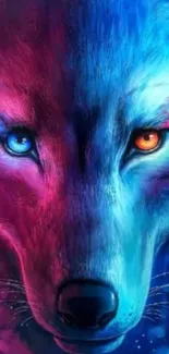 Colorful half-wolf digital art with vibrant blue and pink tones.