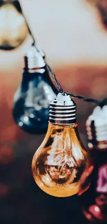 Colorful hanging light bulbs with a soft blurred background.