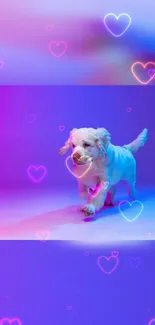 Playful dog among glowing hearts on a vibrant, colorful background wallpaper.