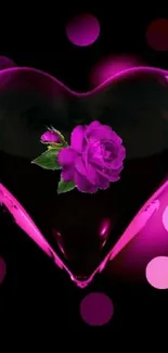 Heart-shaped rose with vibrant purple hue on a black background.