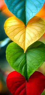 Colorful heart-shaped leaves form an artistic pattern.