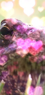 Toad with pink heart bokeh in nature.