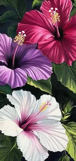 Artistic illustration of vibrant hibiscus blooms.