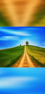 Vibrant hill path with green fields under a bright blue sky.