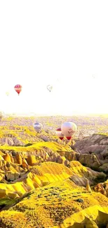 Hot air balloons over golden Cappadocia landscape at sunrise.