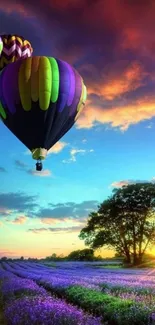 Hot air balloons over lavender field at sunset.