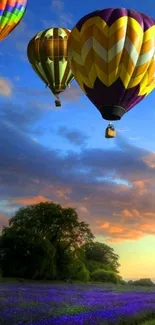 Colorful hot air balloons above blue sky and landscape.