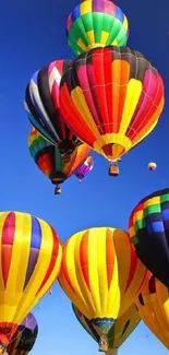 Colorful hot air balloons float in a clear blue sky.