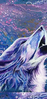 Artistic cosmic wolf in vibrant colors.