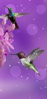 Vibrant mobile wallpaper with orchids and hummingbirds on purple background.