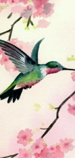 Watercolor hummingbird among cherry blossoms wallpaper.