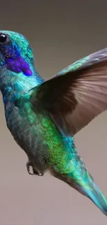 Vibrant hummingbird in flight with green and blue hues, perfect for mobile wallpaper.