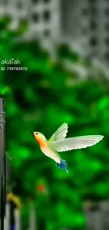 Vibrant hummingbird in urban backdrop, blending nature and city life.