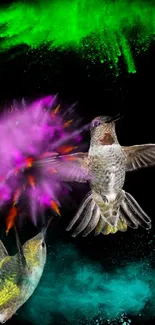 Vibrant hummingbirds with colorful splashes of green, purple, and teal on a black background.