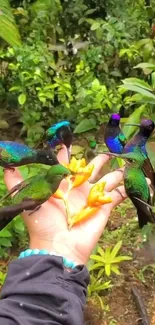 Hummingbirds perched on a hand amid lush greenery and vibrant colors.