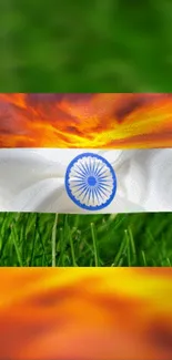 Indian flag with sunset and grass background wallpaper.