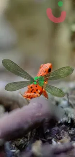 Vibrant orange insect on green foliage background.