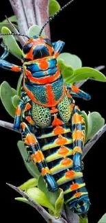 Colorful insect perched on green leaves against a black background.