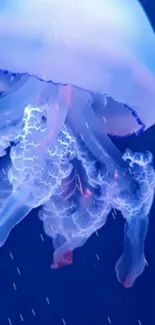 Ethereal jellyfish swimming in vibrant blue ocean setting.