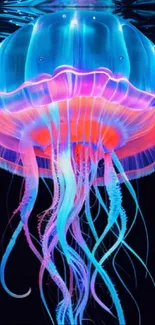 Vibrantly colored jellyfish in neon blue hues.