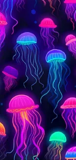 Colorful neon jellyfish floating in dark water.