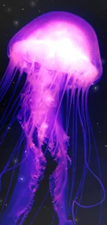 Glowing purple jellyfish in the dark sea.