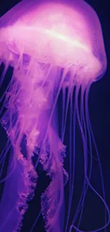 Vibrant purple jellyfish glowing underwater on a smartphone wallpaper.