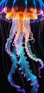 Colorful neon jellyfish glowing in darkness.