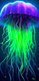 Neon jellyfish with glowing tentacles on a dark background.