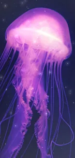 Purple glowing jellyfish on dark marine background.