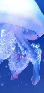 Vibrant jellyfish with glowing tentacles in deep blue water.