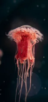 Vibrant jellyfish glows in dark ocean depths, showcasing elegant tentacles.