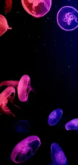 Vibrant jellyfish swimming in dark ocean wallpaper.