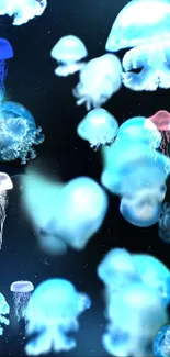 Vibrant jellyfish floating in a dark underwater scene.