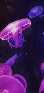 Vibrant purple jellyfish floating underwater in a mesmerizing deep-sea scene.