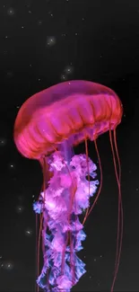 Luminous pink and purple jellyfish on black background mobile wallpaper.