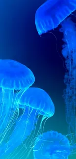 Glowing blue jellyfish in an underwater scene, suitable for mobile wallpapers.