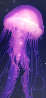 Vibrant purple jellyfish glowing underwater on a dark background.