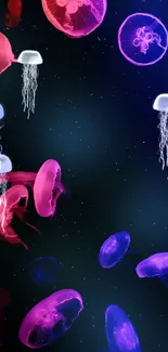 Colorful glowing jellyfish float against a deep dark background.