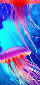 Vibrant blue and pink jellyfish mobile wallpaper with flowing tentacles.